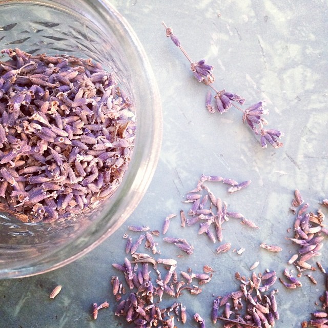 lavender infused syrup