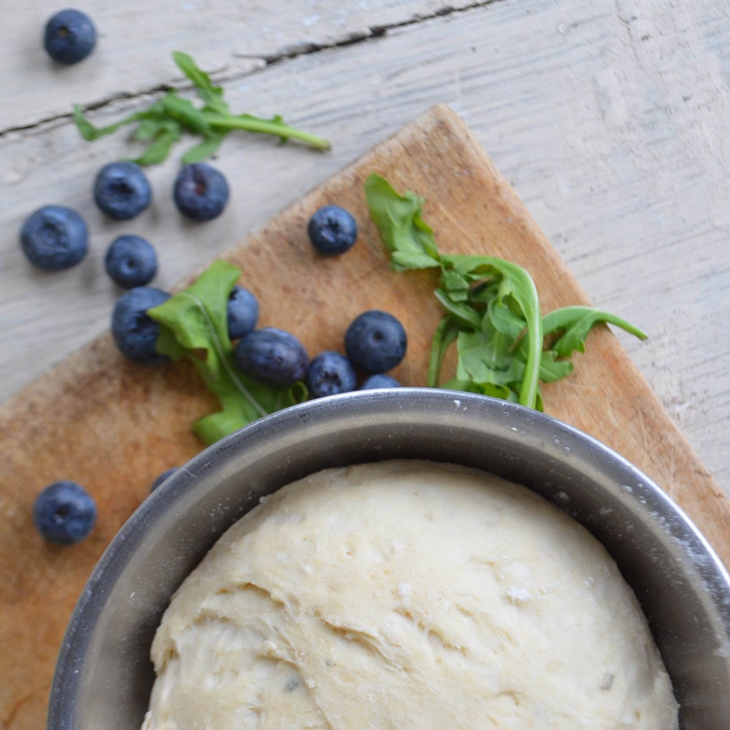 blueberry recipes {guest post}